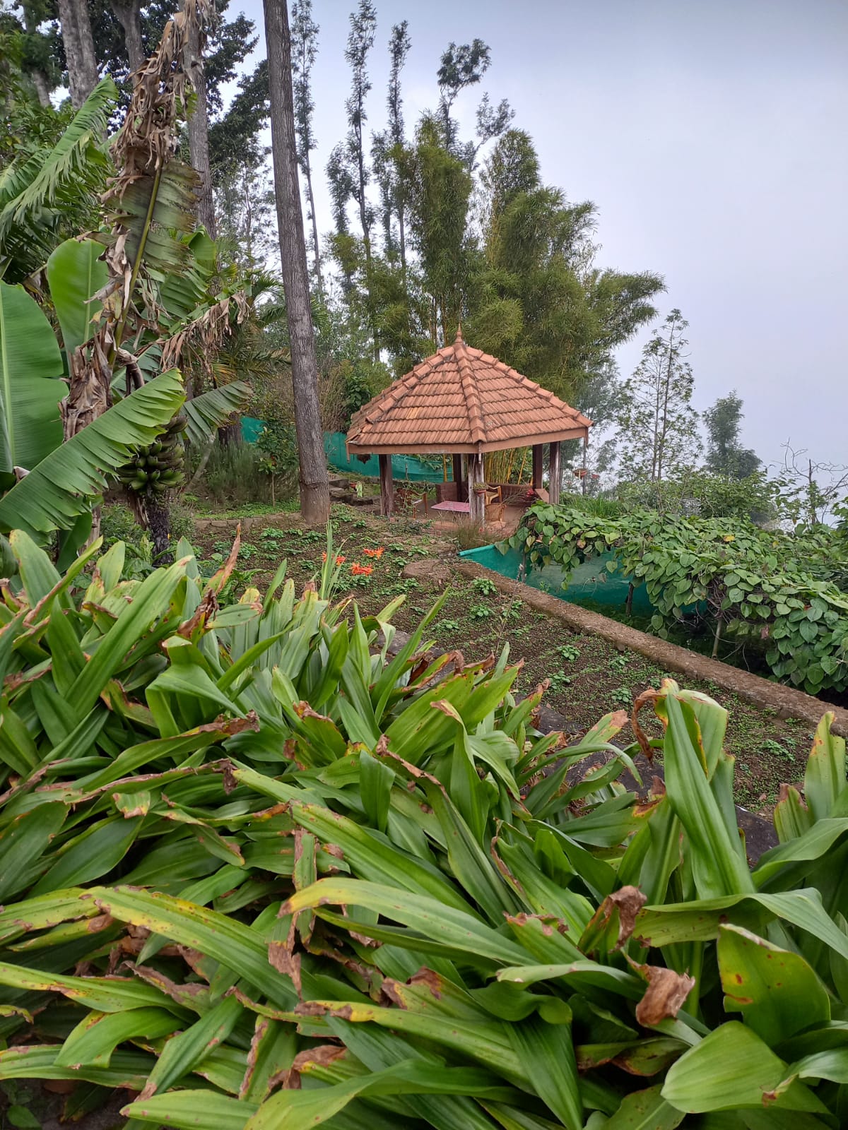 Good luck, bad luck, who knows? A story that reveals impermanence