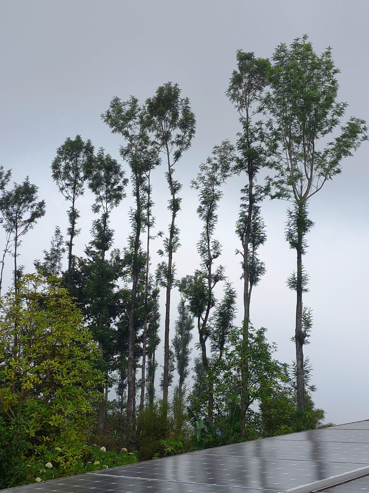 Good luck, bad luck, who knows? A story that reveals impermanence