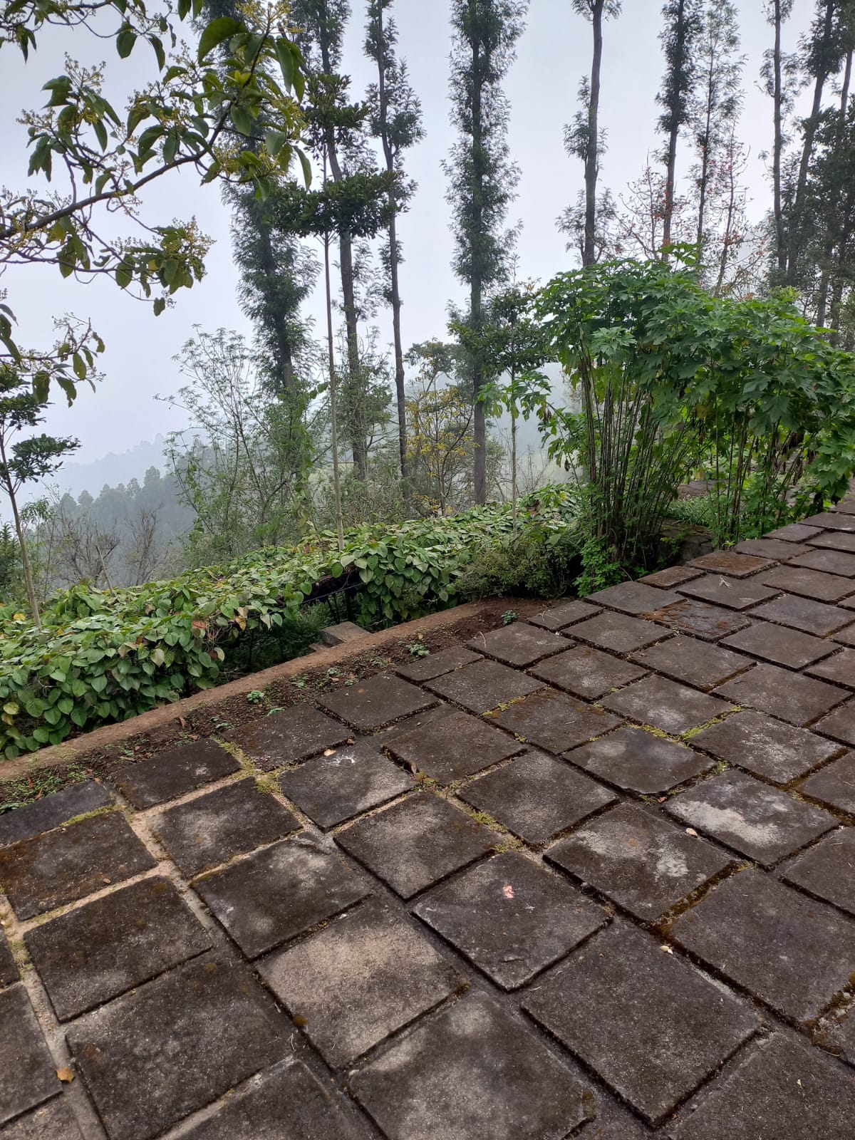 Good luck, bad luck, who knows? A story that reveals impermanence